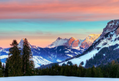 小学生作文:报答行动