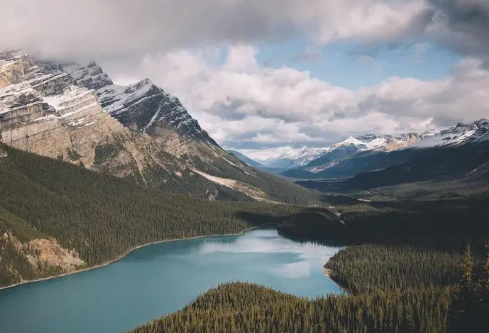 1710032933690263.png image.png