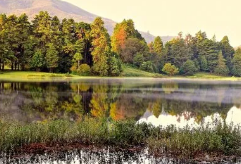 1710033265915745.png image.png