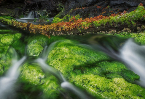 1710033431460829.png image.png