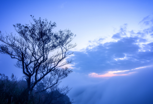 1710034261868784.png image.png