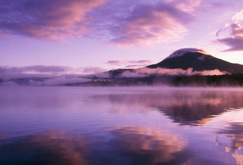 1710034427434413.png image.png