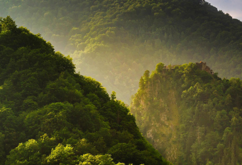 1710034593252188.png image.png