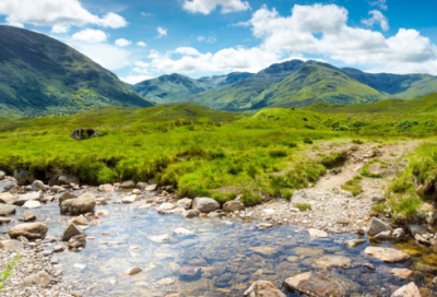 ​好心办了坏事小学作文
