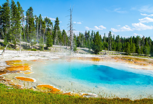 1710035754218073.png image.png