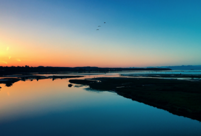​长绿毛的鸡蛋小学作文