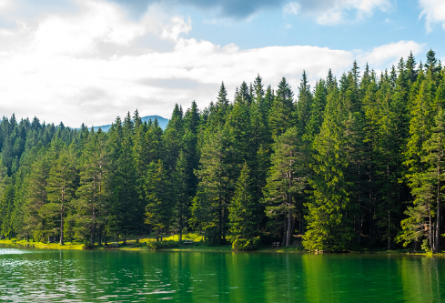 1710061980985707.png image.png