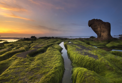​小猴菲菲为什么没来小学作文