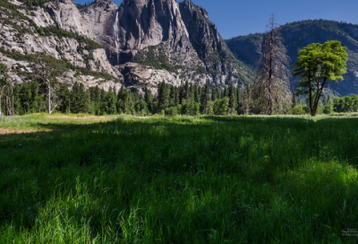 ​小学生满分作文：汉字的故事