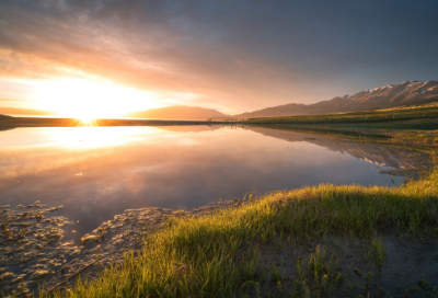 ​炒卷心菜小学作文