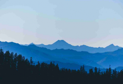 ​放蝌蚪回家小学作文