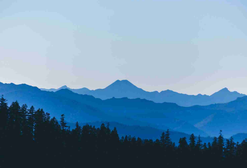 1710063806659043.png image.png