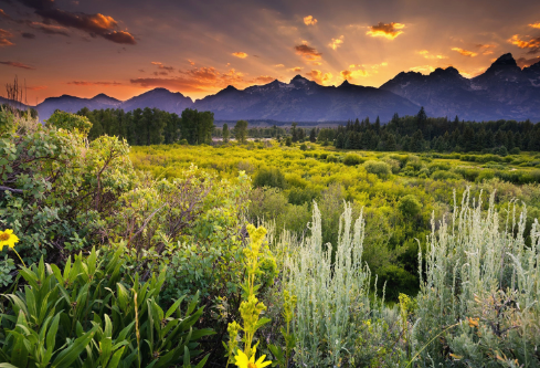 1710063972436627.png image.png