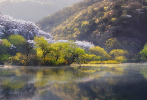 1710064802204945.png image.png