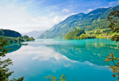 ​有趣的动物小学生作文