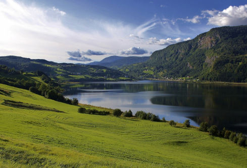 1710065133940518.png image.png