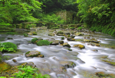 ​有趣的大课间小学生优秀作文