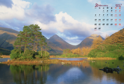 ​适合与否小学生作文