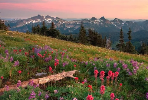 1710066626429175.png image.png