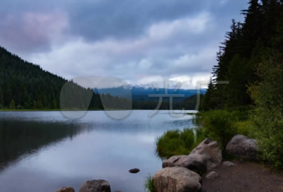 ​小学作文大赛获奖感言