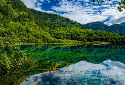 ​有趣一堂课小学生作文