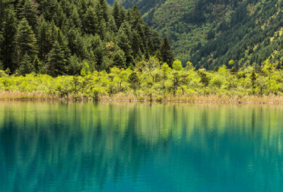 ​饭桌上发生的故事小学作文