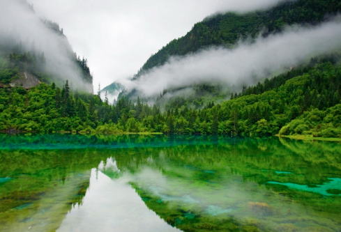 1710068121469126.png image.png