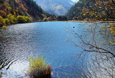 ​小兔采蘑菇小学生优秀作文