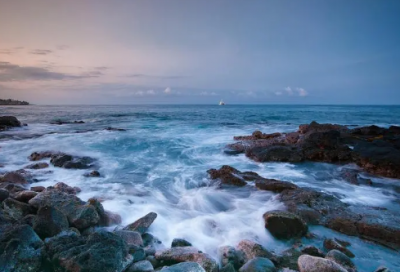 ​智力竞赛小学作文