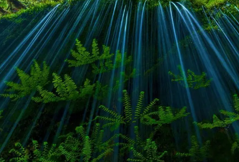 1710079074792163.png image.png