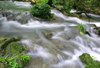 ​肯德基里过中秋小学作文