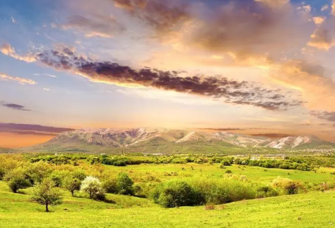 1710079737302771.png image.png