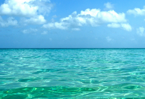 1710079903840290.png image.png