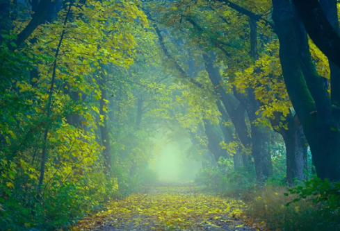 1710080567590737.png image.png