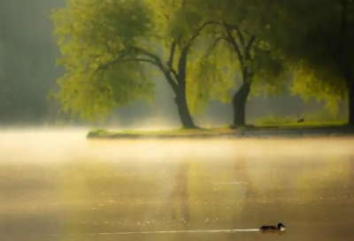 ​从窗口看到的小学作文