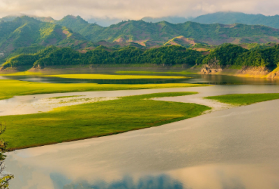 ​小学踢足球作文