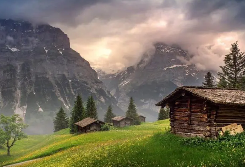 1710081728390609.png image.png