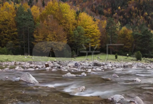 1710096424970990.png image.png