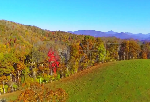 1710098582813955.png image.png