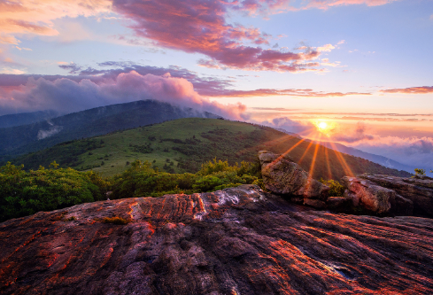 1710098914325359.png image.png