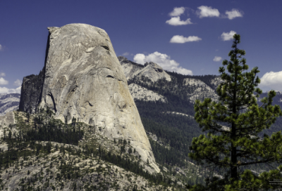 ​读人类未解之迷小学作文