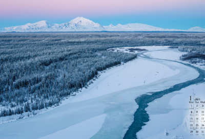 ​小学生秋叶作文