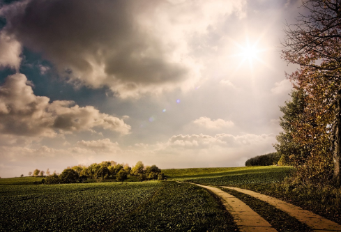 1710102235312795.png image.png