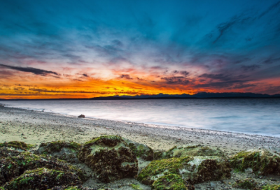 ​描写手的小学生作文