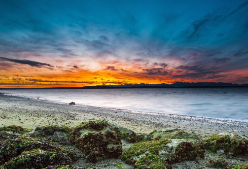 1710102732158954.png image.png