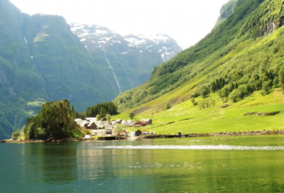 ​窗台上的绿螺小学作文