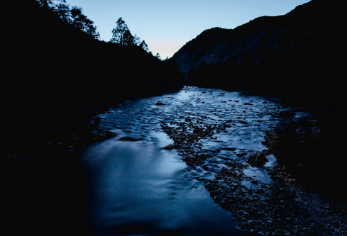 1710104393183996.png image.png