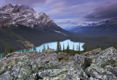 ​小学生作文之下象棋