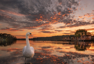 ​打排球小学优秀作文