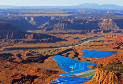 ​这是为什么小学生作文